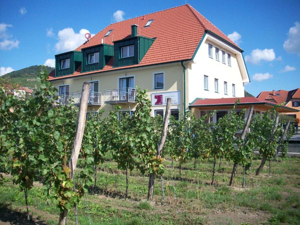 Hotel Garni Weinquadrat Weissenkirchen in der Wachau Exterior photo